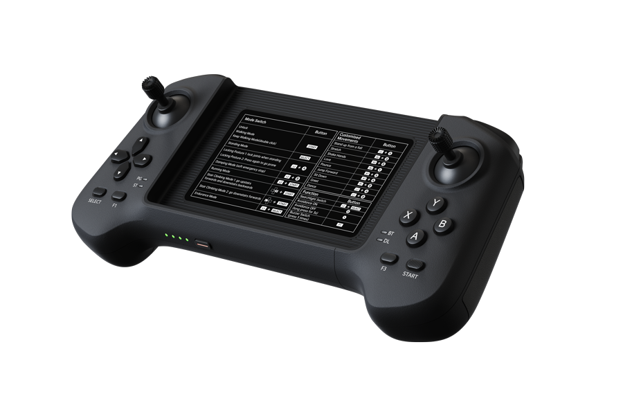 Dual-Hand Remote Controller