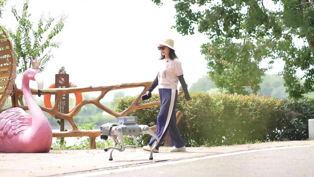 Quadruped guide robot walking beside a visitor in a park